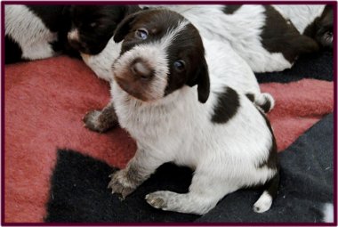 25. Juni 2010 Ich bin Ella vom Kammeltal - und wer bist Du ..